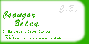 csongor belea business card